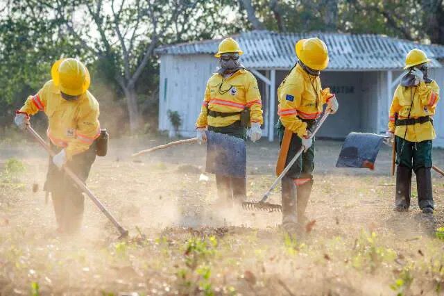 Brigadistas monitoram queima prescrita na APA Baía Negra, em Ladário