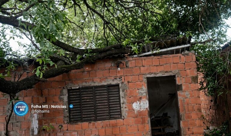 Árvore de grande porte cai e danifica residência no bairro Popular Nova em Corumbá