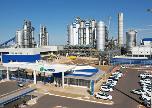 Instrutor treinando operadores de máquinas florestais em plantação de eucalipto