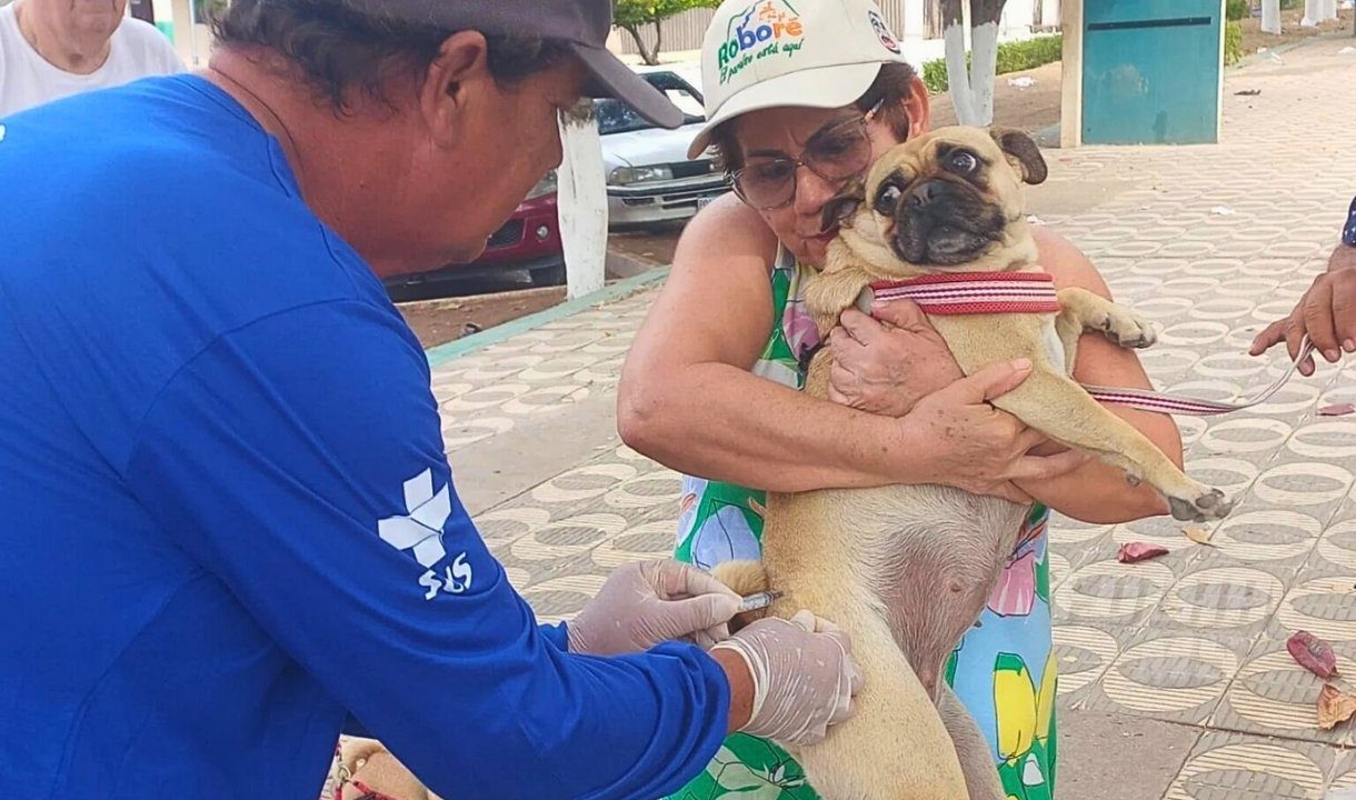 vacinacao binacional