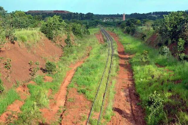Ação popular pede bloqueio de R$ 3,6 bi da Rumo Malha Oeste por deterioração de ferrovia em MS 2 Trilhos de ferrovia abandonada com dormentes deteriorados e vegetação crescendo