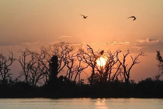 Brasil deve enfrentar até seis ondas de calor até dezembro, aponta Cemaden