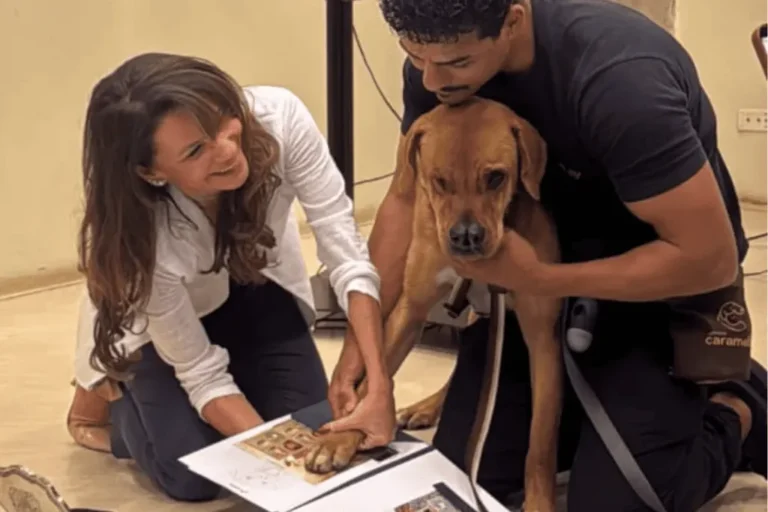 Cão caramelo Mixirica ao lado de um selo dos Correios com sua imagem
