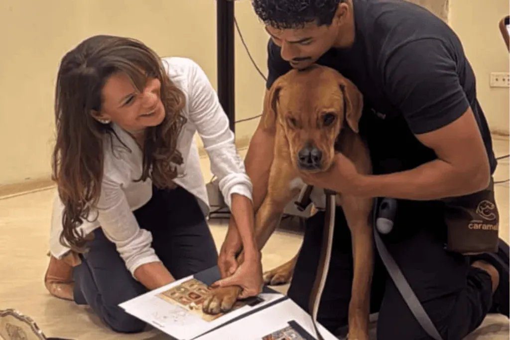 Cão caramelo Mixirica ao lado de um selo dos Correios com sua imagem