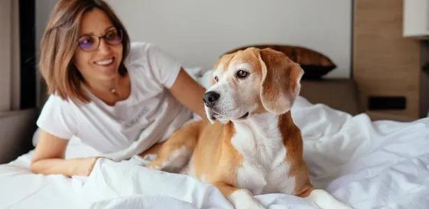 Pessoa dormindo na cama abraçada a um cachorro, transmitindo conforto e companheirismo