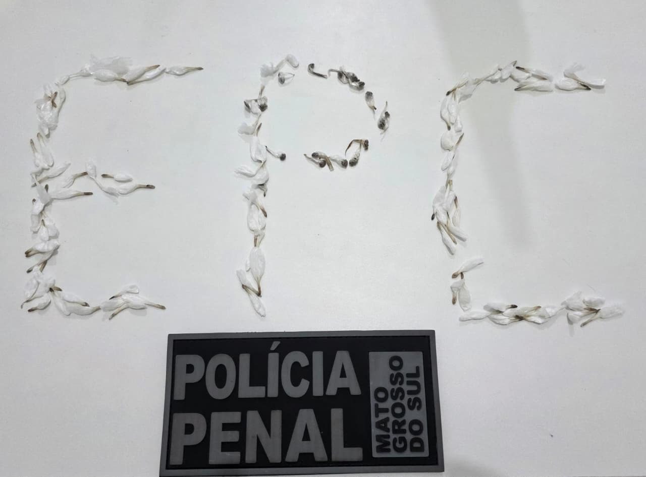entopecentepresidio apreensão de drogas com interno