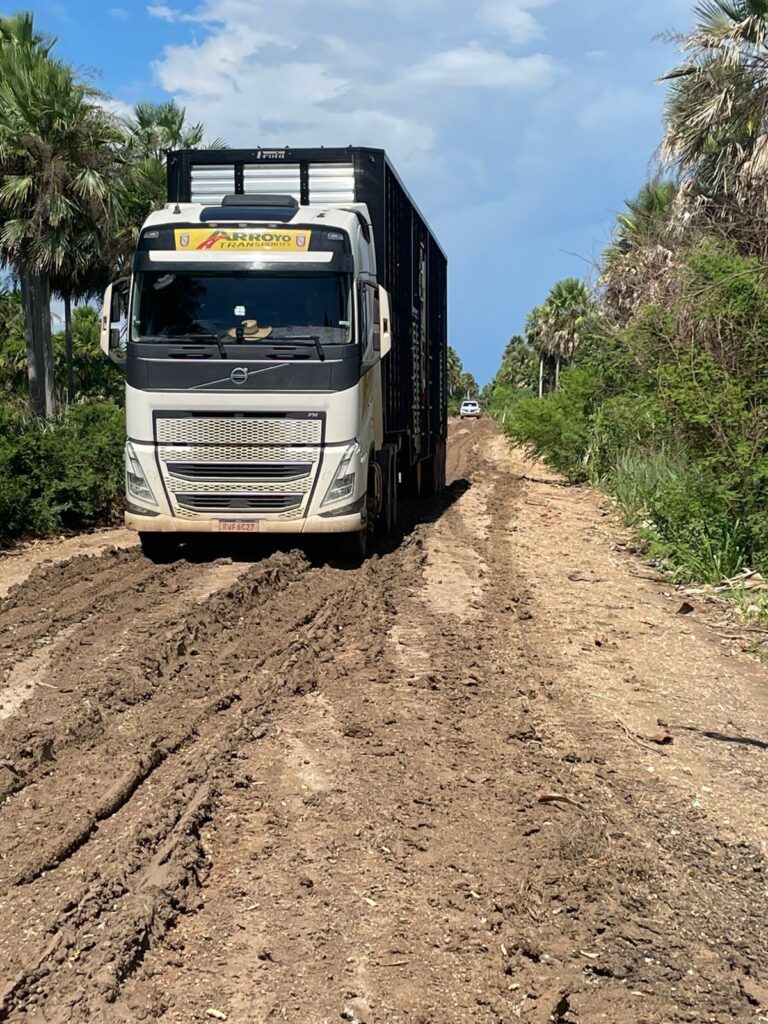 estrada nabileque