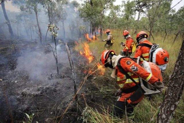 Vista aérea do Pantanal mostrando fumaça de incêndio e áreas contrastantes de pecuária e comunidade tradicional.