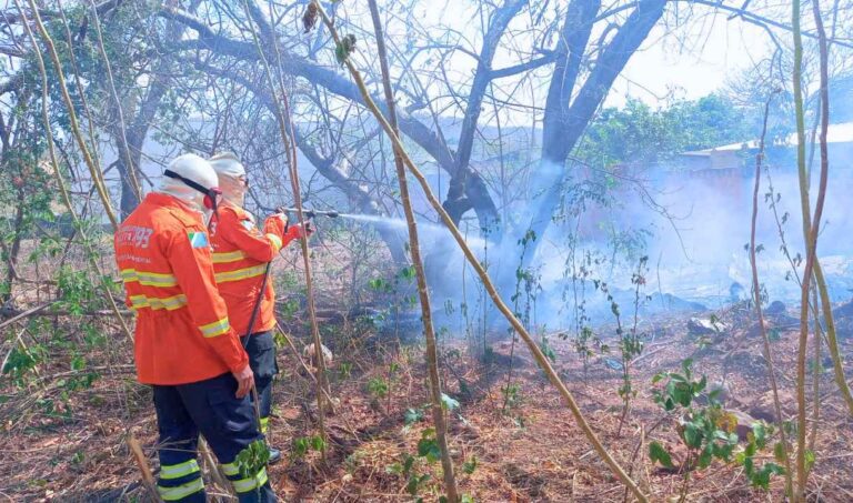 Sete incêndios em terrenos baldios mobilizam bombeiros em Corumbá e Ladário nas últimas 24 horas