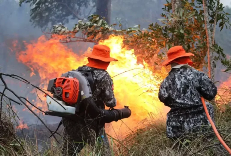 Policiais militares detêm homem suspeito de incendiar vegetação às margens da MS-316 em Costa Rica.