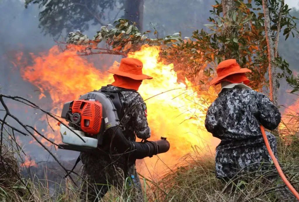 Policiais militares detêm homem suspeito de incendiar vegetação às margens da MS-316 em Costa Rica.