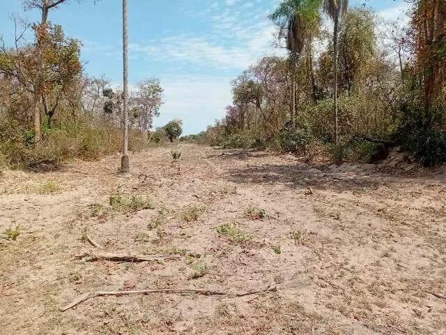 Fiscalização do Ibama após incêndio no Pantanal em Corumbá
