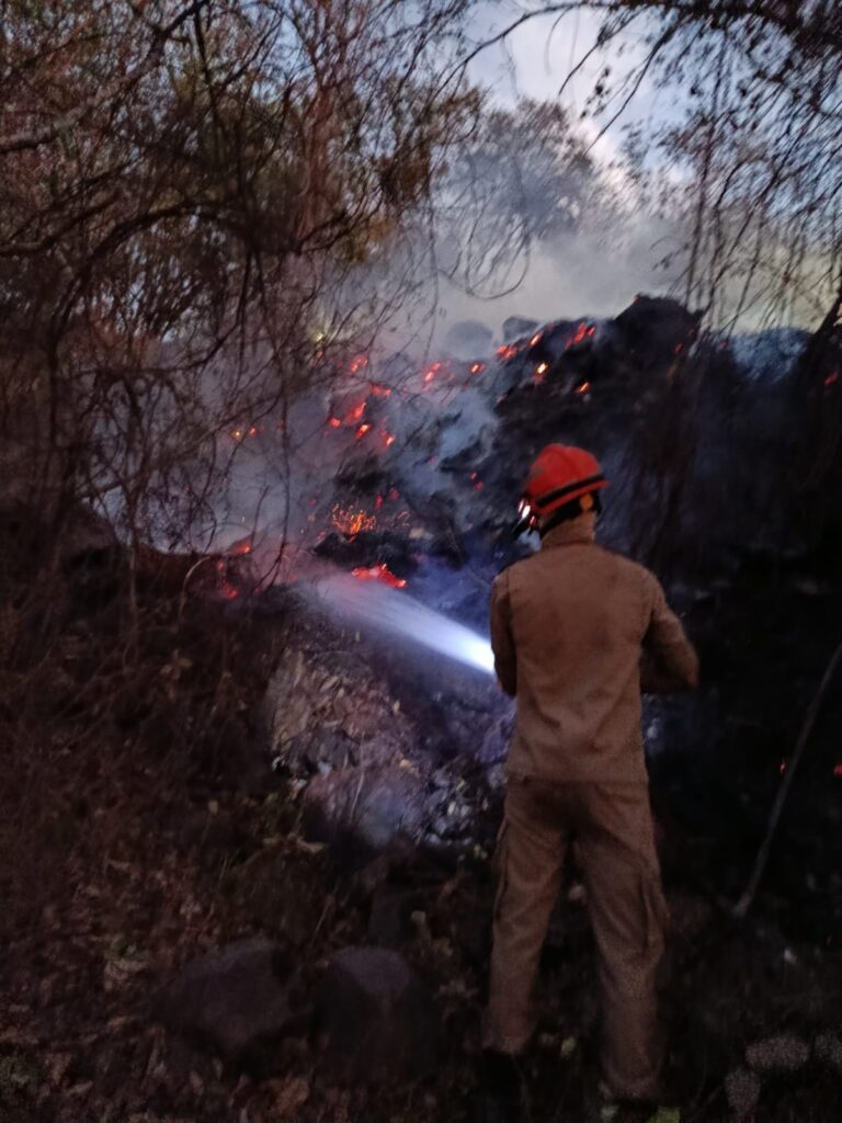 Incêndio atinge área de mata às margens do Rio Paraguai em Corumbá