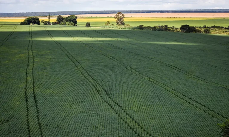 Senado aprova plano que incentiva produção de fertilizantes no Brasil