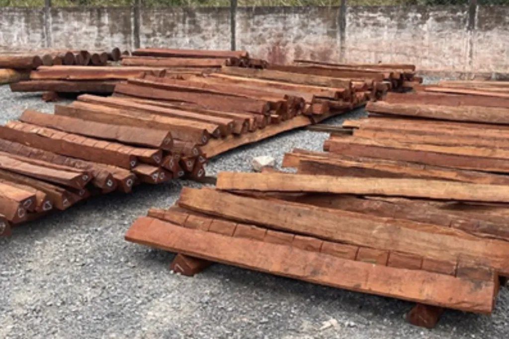 Polícia Federal libera carga de madeira retida após exames descartarem presença de cocaína em Corumbá 2 Caminhões de madeira apreendidos durante a Operação Timber Shield em pátio fiscal.