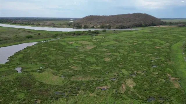 Vista aérea de baceiros bloqueando o canal do Rio Paraguai na Baía do Castelo