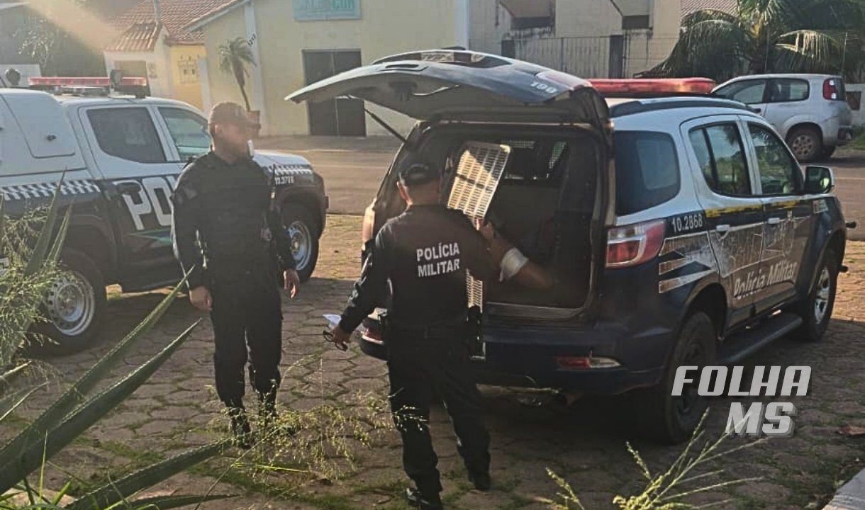 violencia domestica descumprimento de medida protetiva em Ladário