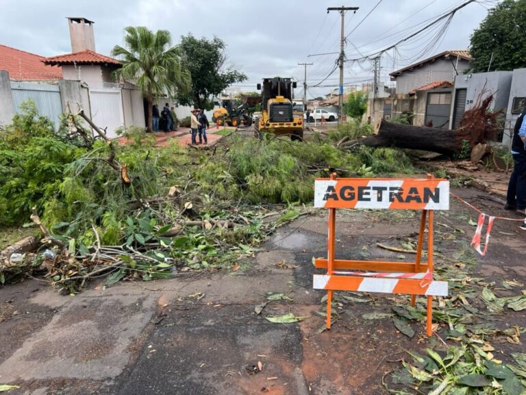 Força Tarefa de Atendimento Emergencial mobiliza mais de 35 equipes em Campo Grande desde a semana passada 