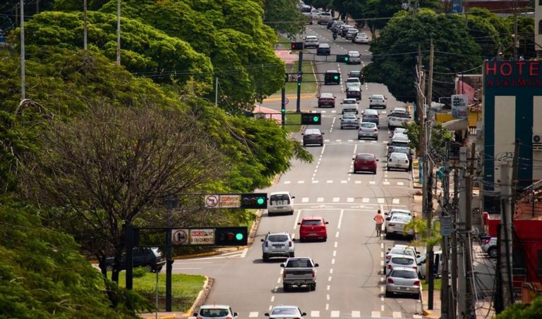 Campo Grande lidera arborização entre capitais e distribui mais de 27 mil mudas