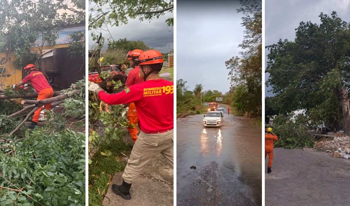 Temporal registrou 29 quedas de árvores e resgate no Rio Paraguai em Corumbá