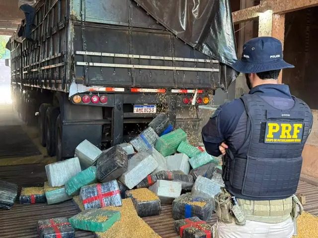 PRF apreende 5,2 toneladas de maconha em carga de milho na BR-376 em MS
