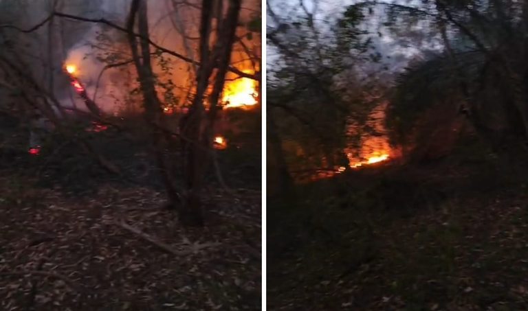 Bombeiros controlam incêndio que ameaçou casas, subestação e placas solares entre Corumbá e Ladário