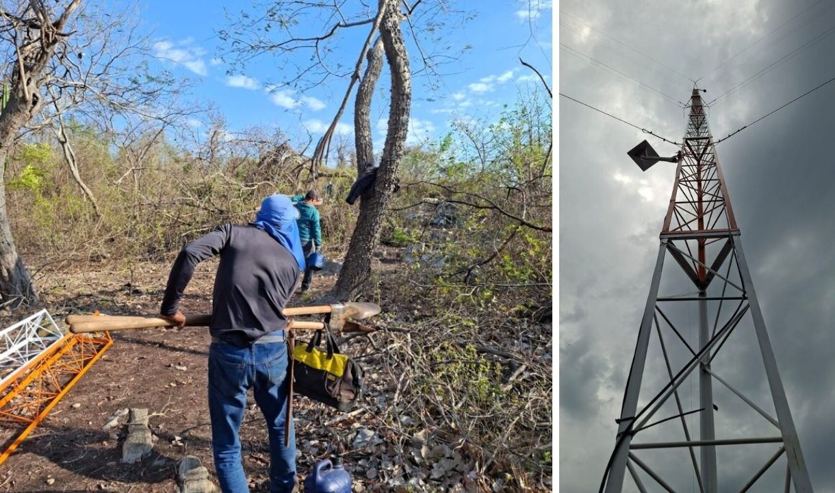 Pantanal ganha nova cobertura por inteligência artificial para antecipar focos de incêndios