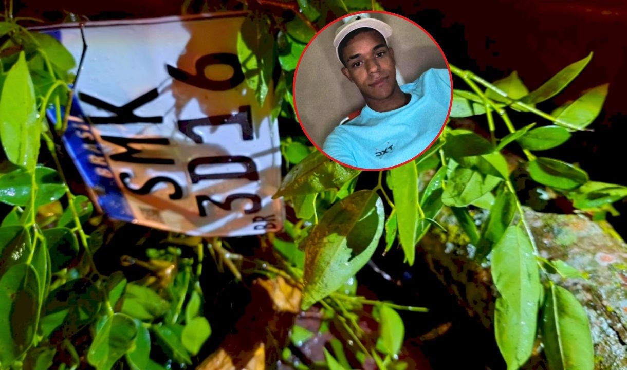 Árvore cai durante temporal e mata jovem de 19 anos na BR-376