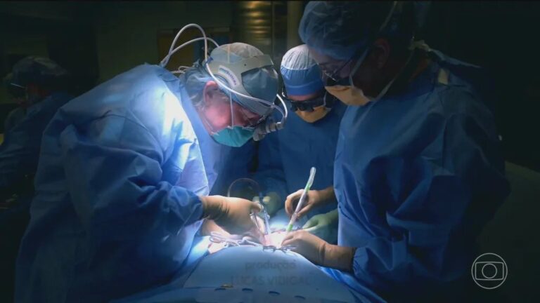 Equipe médica conduzindo transplante de rim de porco geneticamente modificado em paciente nos EUA