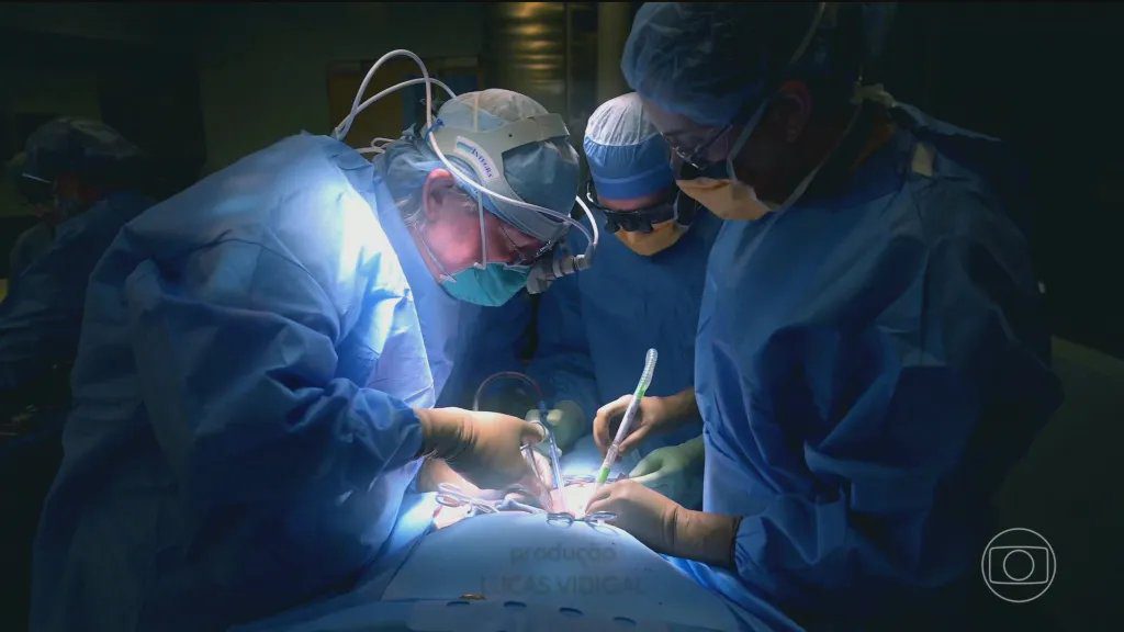 Equipe médica conduzindo transplante de rim de porco geneticamente modificado em paciente nos EUA