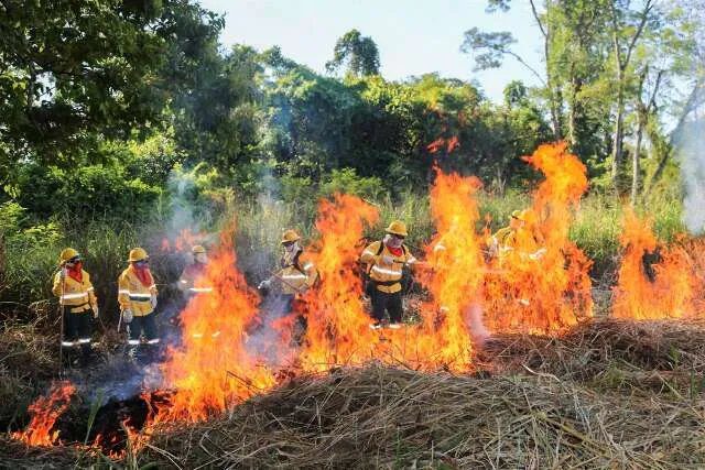 Equipe multinacional treinando no combate a incêndios no Pantanal