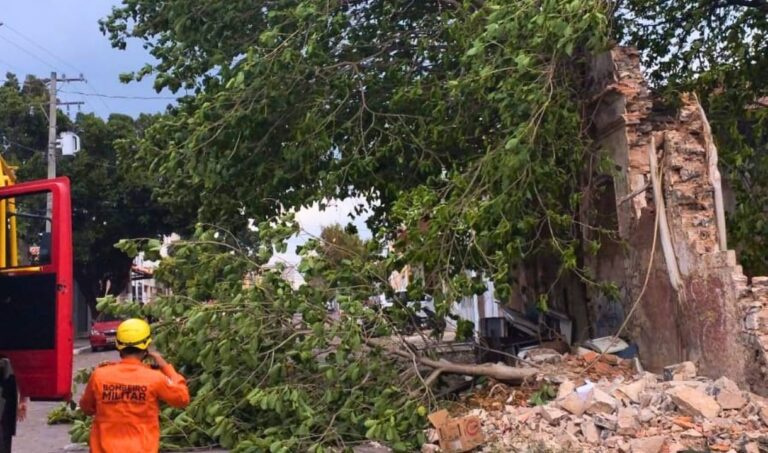 Rajadas de 64,8 km/h derrubam árvores e estruturas em Corumbá