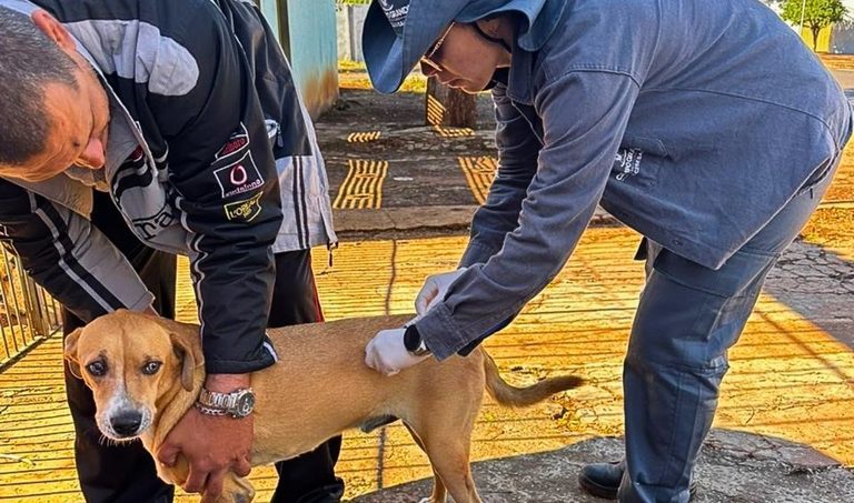 Campo Grande terá vacinação antirrábica em três pontos neste fim de semana
