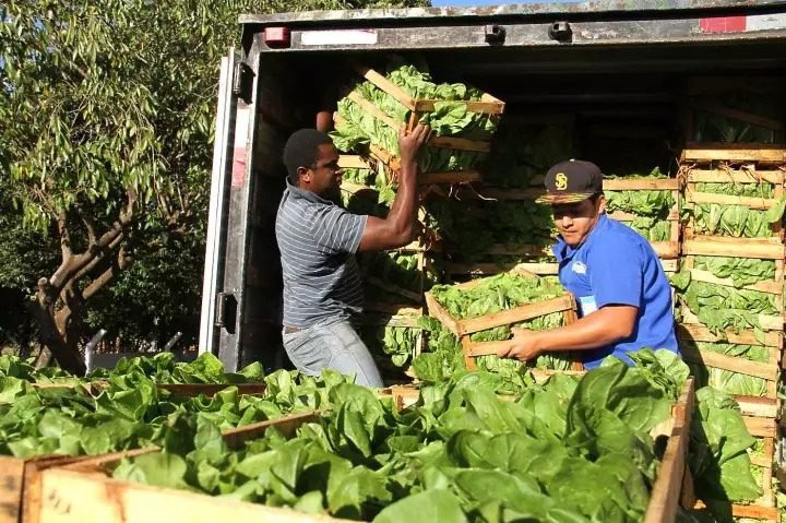 Compras da agricultura familiar abastecem 99 escolas e 108 creches em Campo Grande