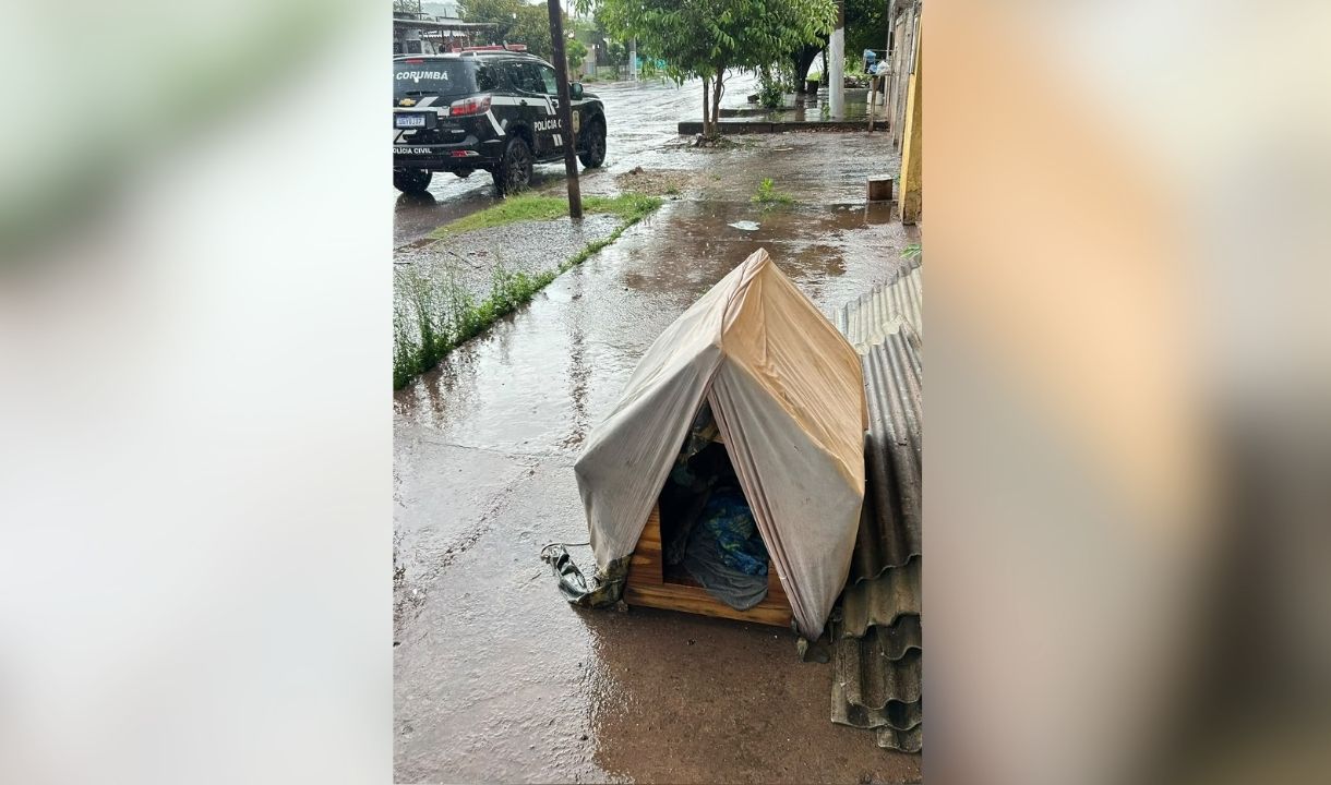 Cão idoso é resgatado e tutor é indiciado por maus-tratos em Corumbá