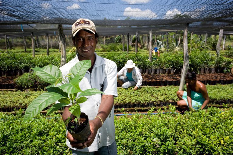 MEIs e agricultores familiares de MS fecharam mais de R$ 4,2 milhões em negócios públicos pelo Contrata + Brasil