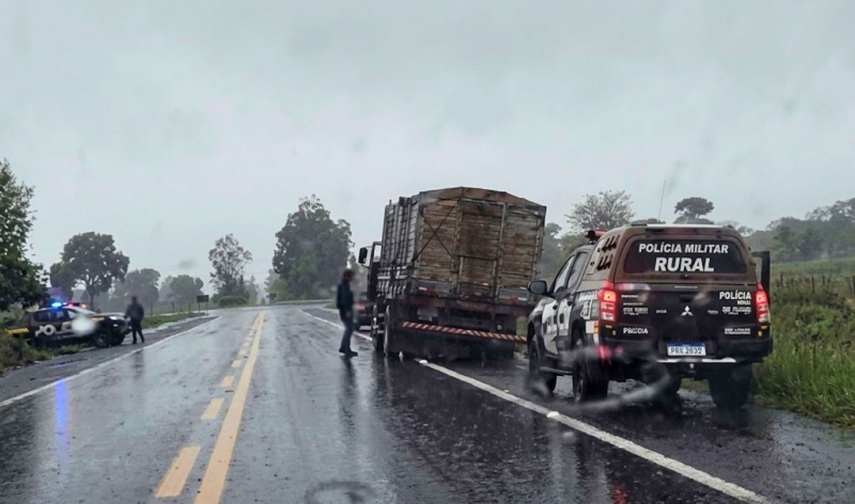 Furto de 20 bovinos termina com quatro presos e animais recuperados em MS