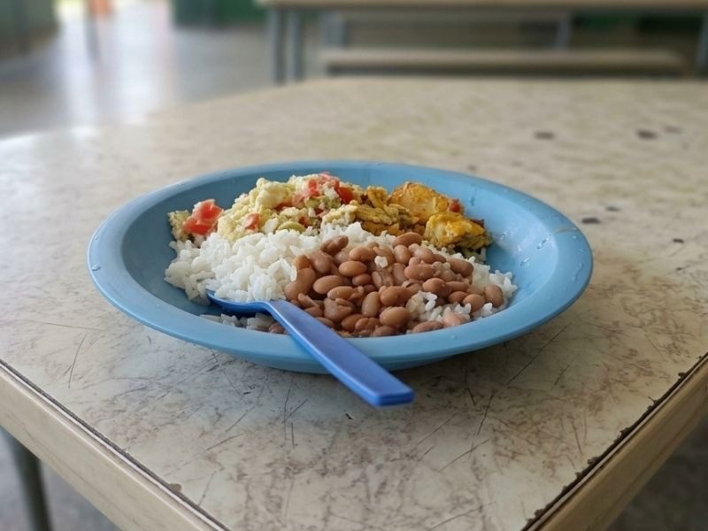 MP apura retirada de alimentos da merenda de escola indígena em Miranda