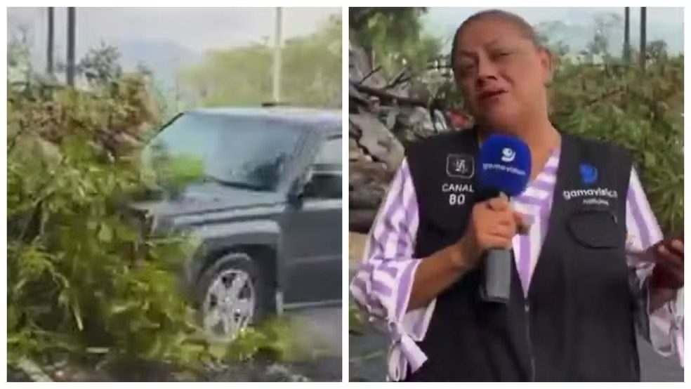Repórter e cinegrafista são atropelados durante transmissão ao vivo no México