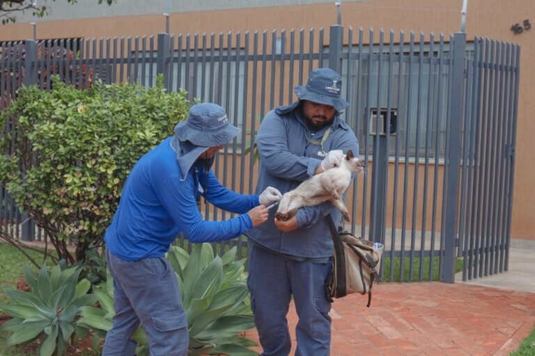 Campo Grande terá vacinação antirrábica em três bairros e casa a casa neste sábado