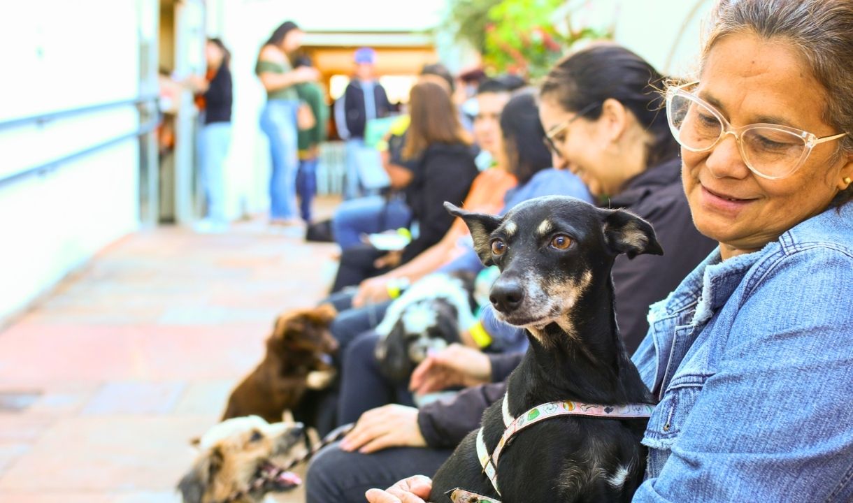 Atendimento veterinário móvel chega à Vila Serradinho na próxima semana