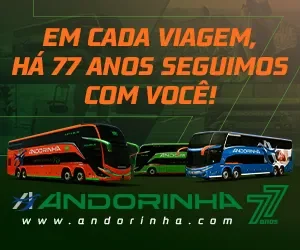 arte-andorinha2