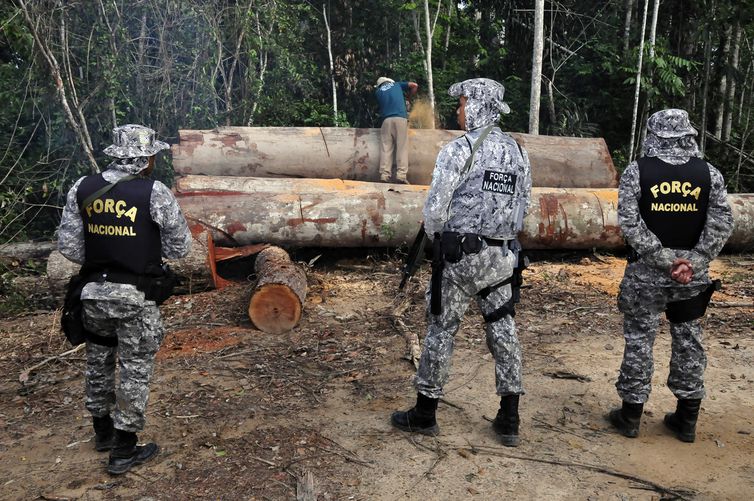 Governo prorroga uso da Força Nacional na Amazônia
