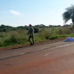 Em Maracaju homem se joga na frente de caminhão na MS-162