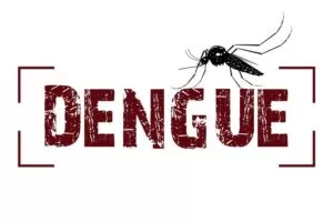 Leia mais sobre o artigo Mais 5 mortes por dengue e gripe são confirmadas em uma semana em MS