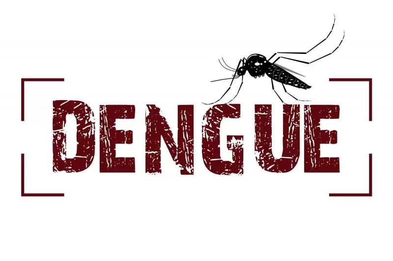 Morte por Dengue