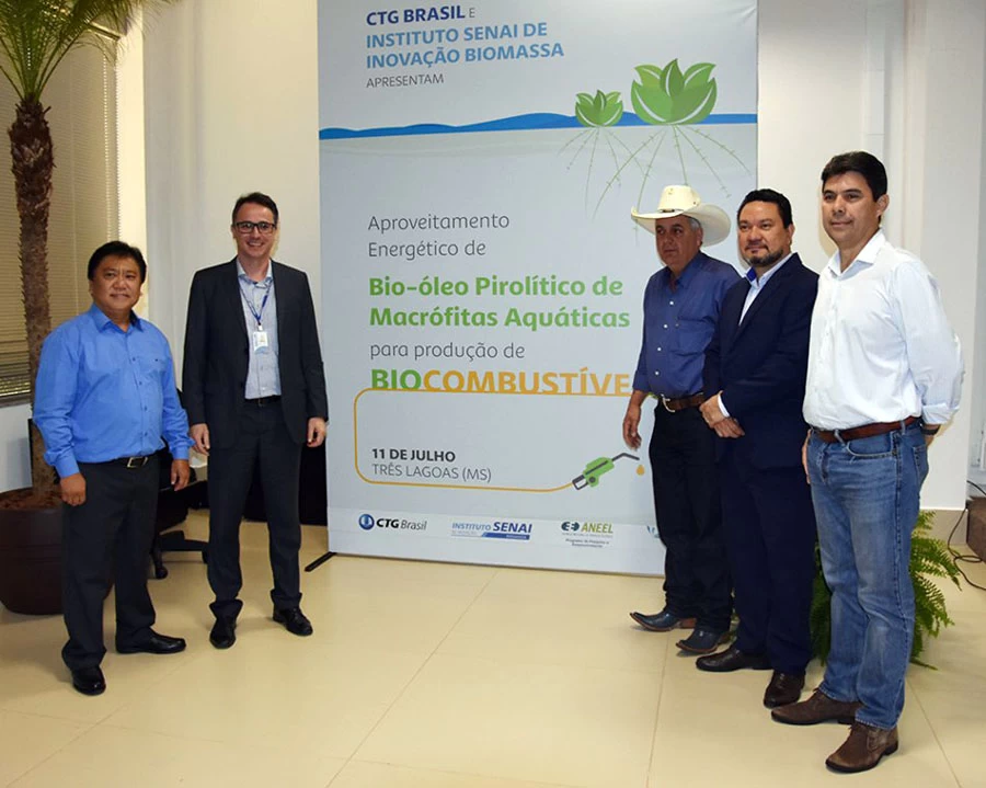 Leia mais sobre o artigo Uso de planta aquática para biocombustível fomenta pesquisa e sustentabilidade em MS