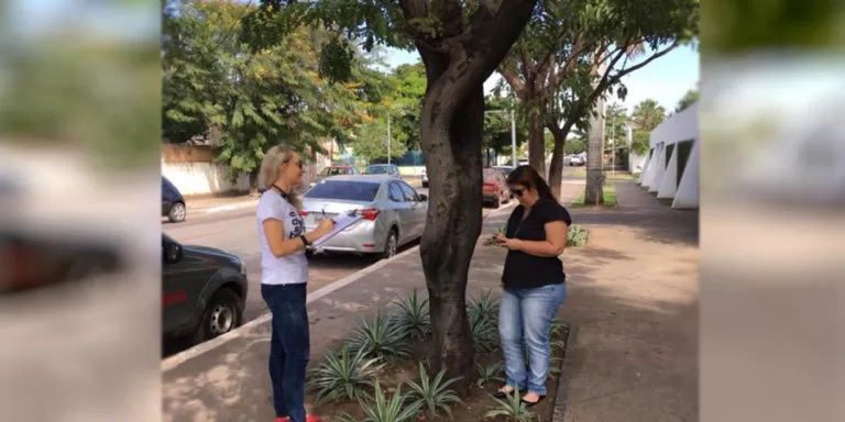 Censo arbóreo já mapeou quase mil árvores em Corumbá