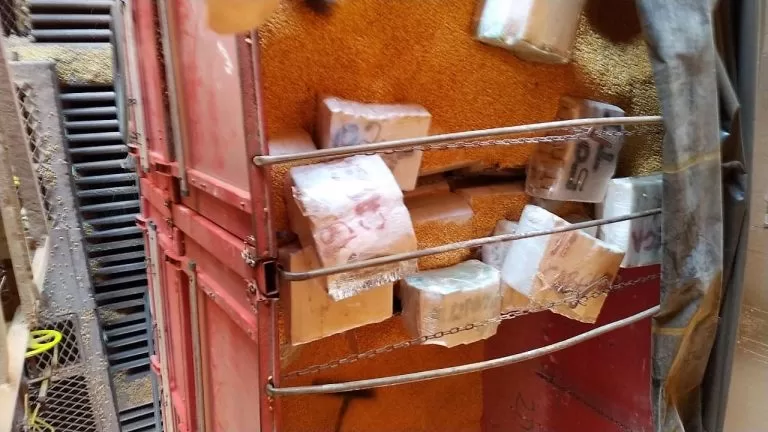 PF apreende 7 toneladas de maconha em carga de milho