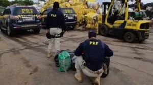 Leia mais sobre o artigo PRF descobre 137 Kg de cocaína escondidos em carga de sucata | Vídeo